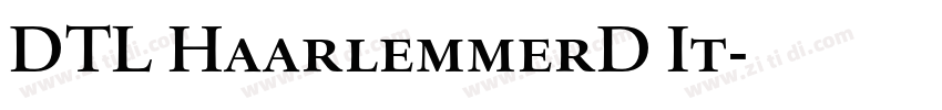 DTL HaarlemmerD It字体转换